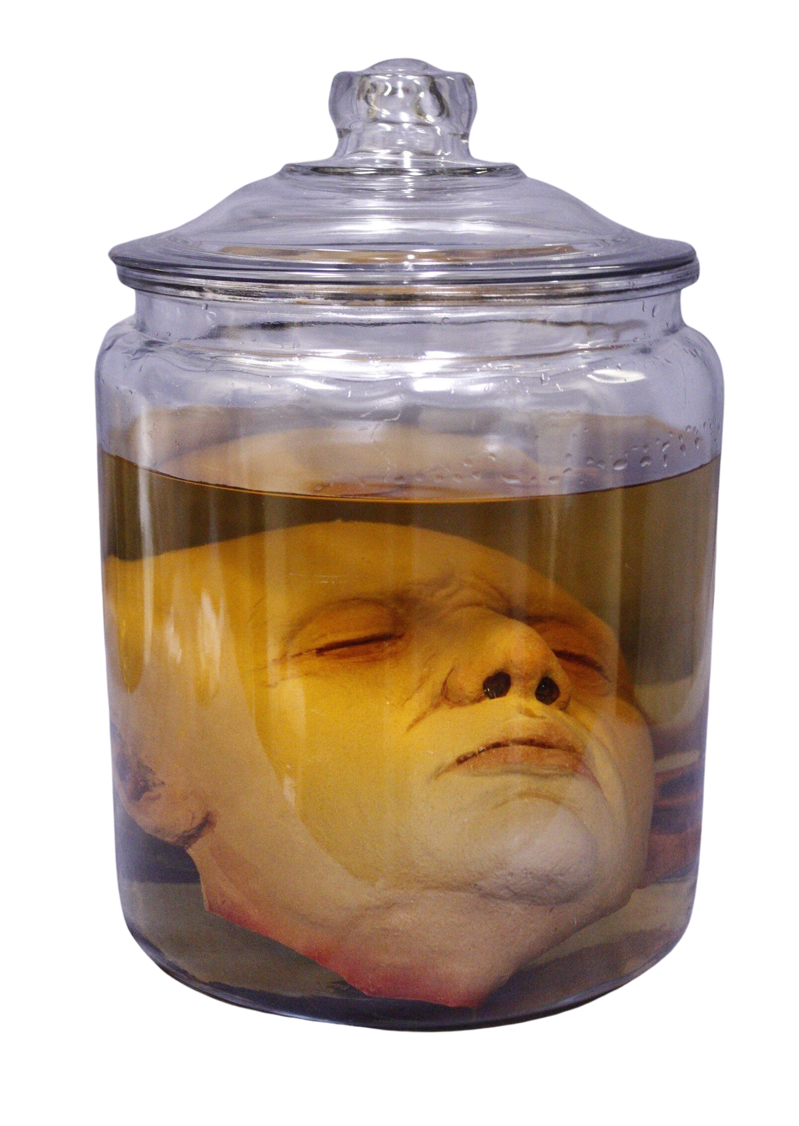 Ben Head in a Jar – Dapper Cadaver Props